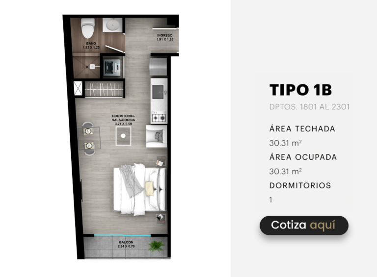 TIPO 2