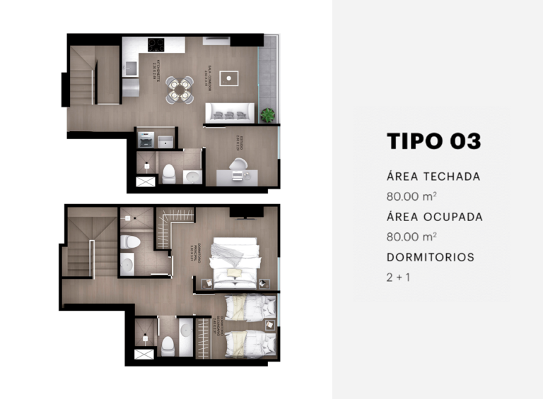 TIPO 3