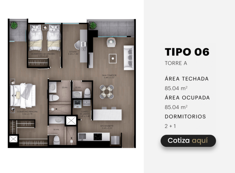 TIPO 6